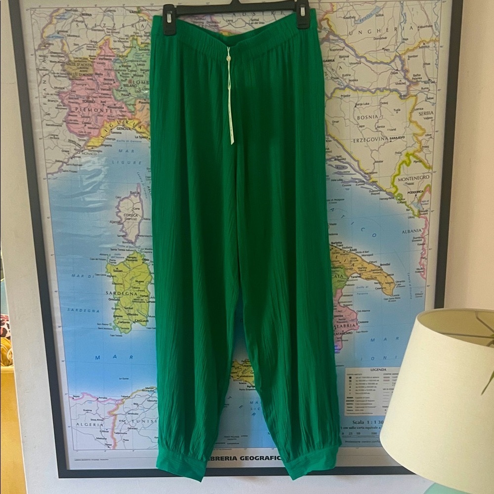 Suzi Kondi green gauze Harem pants